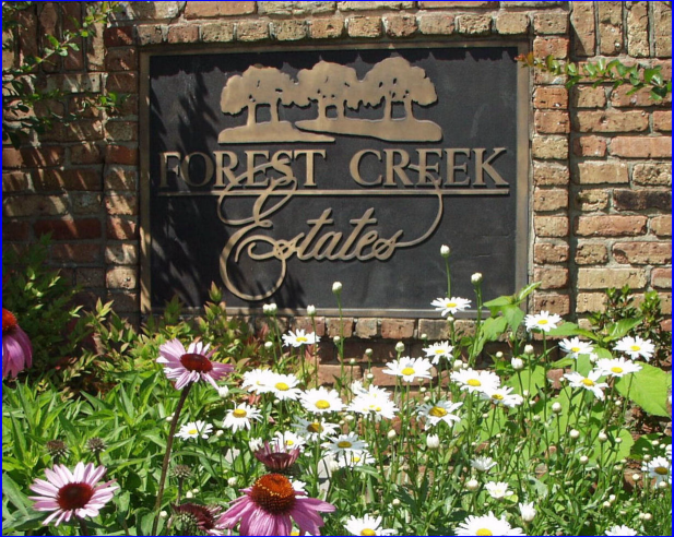 Forest Creek Estates